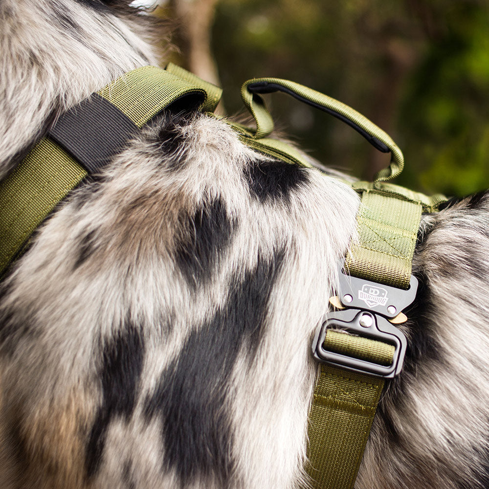 DuraDog Green Slip on Tri Harness !! Pickup Only, no delivery !!