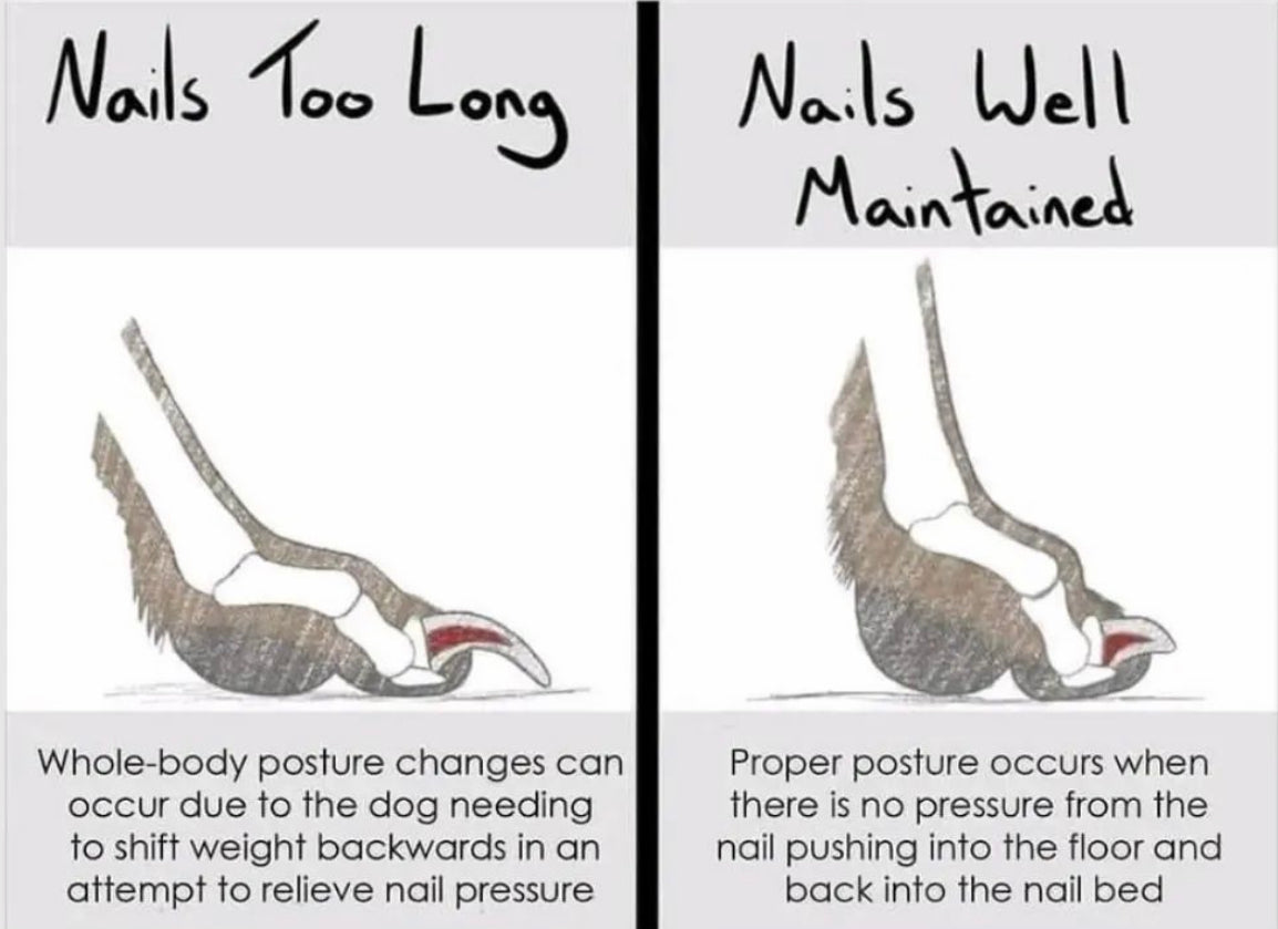 Mill Sessions Gift Card