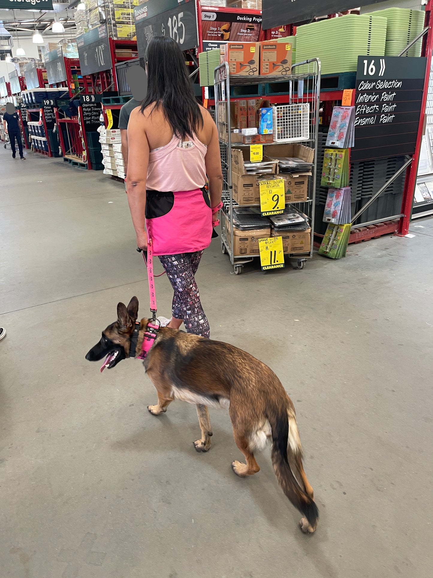 DuraDog Walking Leash  !! Pickup Only, no delivery !!